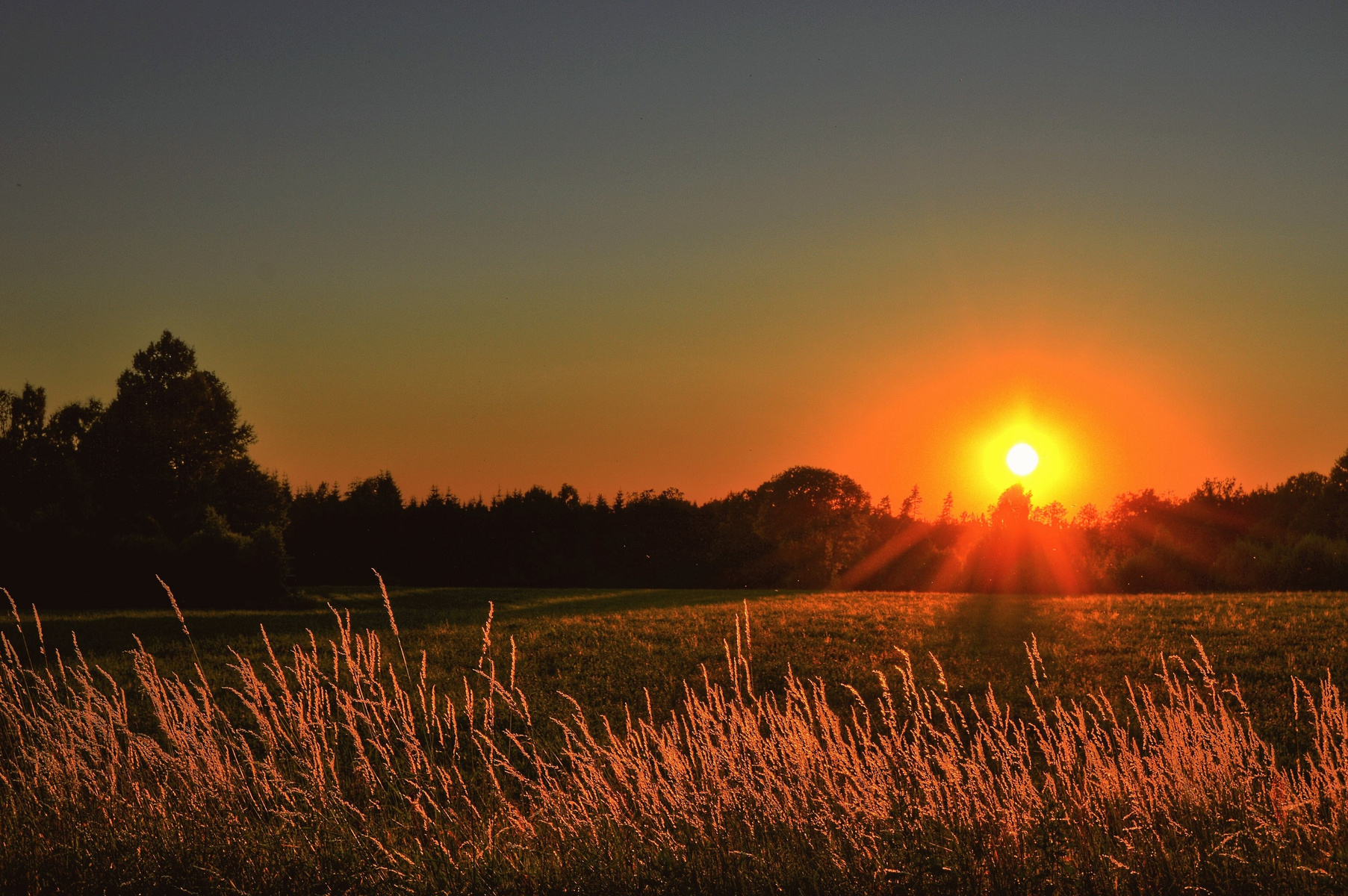 Photograph of the Sun setting
