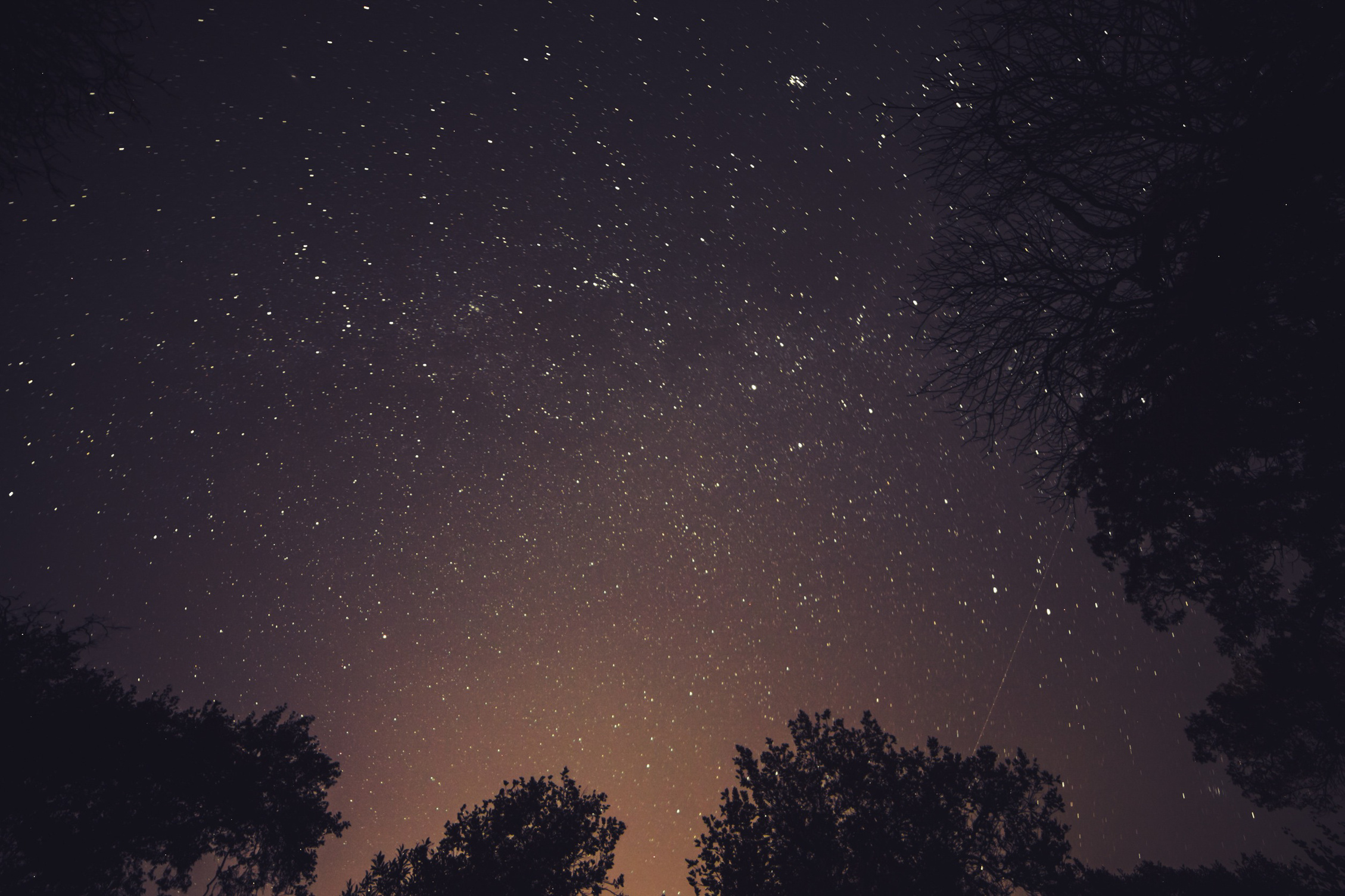 Worm's Eye View Photography of Stars over Trees during Nighttime